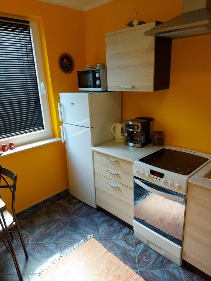 Apartament Retro Promenada Apartment Elk Bagian luar foto